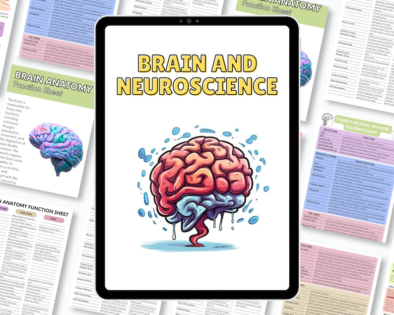 The Brain Regions And Neuroscience Psychoeducation Bundle, Brain and Neuroscience Therapy and Education, Therapy Resources, Brain Anatomy